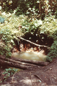 Wasserquelle für die Schule 1981